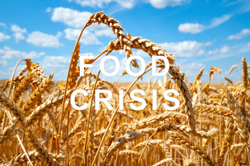 The problem of food insecurity in the world. Food crisis and crop failure. Military conflict...