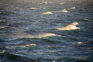 Naklejka premium Beautiful seascape - waves and sky with clouds with beautiful lighting. Golden hour.