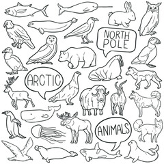 Arctic Animals Doodle Icons. Hand Made Line Art. Polar Clipart Logotype Symbol Design.