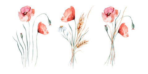 Watercolor wildflowers bouquets and frames with poppy, cornflower chamomile, rye and wheat spikelets background