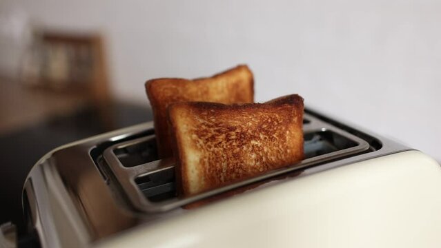 Roasted bread in white toaster. two delicious and toaster toasts. the process of frying toasts.