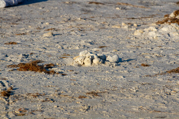 Beach Scenes  - Sand Sun and Water
