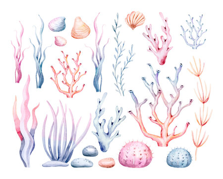 Pin by Anna Tono on Drawing Reference | Underwater wallpaper, Water  photography, Water background