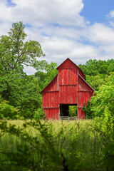 Old red barn surrounded by over growth and trees.