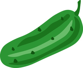 illustration of a cucumber