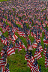 Field of Flags - American Stars and Stripes Everywhere