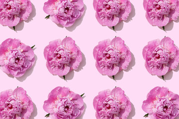bright pink peonies pattern on a pastel pink background