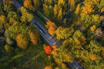Top view of road passing through the bright autumn forest