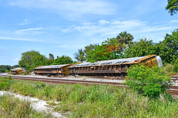 Old train cars fallen off the track and left to rust