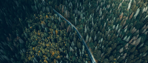 Top view of the road through the forest