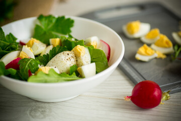 Fresh spring salad with fresh lettuce leaves, radishes, boiled eggs in a bowl