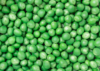 green peas on a colored background