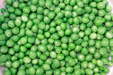 green peas on a colored background