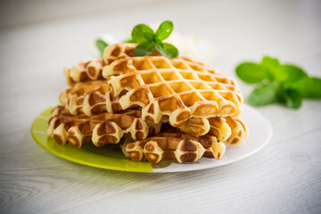 Sweet cottage cheese wafers with a sprig of mint in a plate