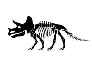 Vector illustration with dinosaur skeleton isolated on a white background.