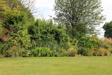 trees in the garden