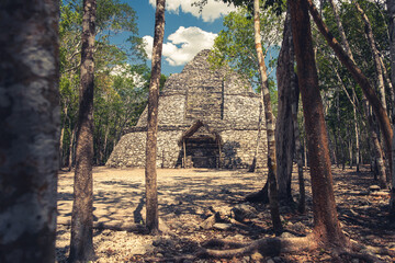 Tulum Stone Ruins Coba Maya Civilization  Jungle Forest Mexico