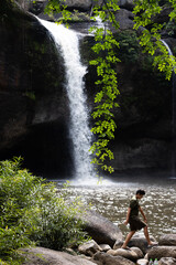 waterfall in the forest
