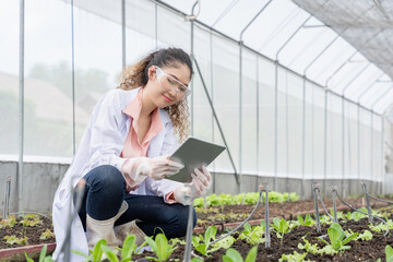 Naklejka na ściany i meble Agricultural researchers in the Industrial greenhouse analyze and hold tablets for agricultural research complex to produce better results in the future.