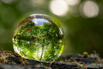 Crystal ball with nature inside and outside laying in nature