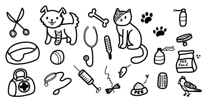 Hand drawn doodle veterinary clinic and pet shop, cat, dog. Pets, food, toys, and grooming accessories. Vector sketch illustration on white background.