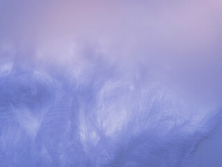 blurred abstract textured background delicate purple beautiful feathers
