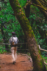Back view of backpacker man walking in the green forest. Concept of people and outdoor leisure activity in the woods. Alternative adventure vacation trip.