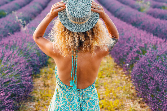 Back view of pretty curly blonde woman holding trendy hair and admiring a scenic lavender field. Travel female people lifestyle. Elegant rear of female enjoying nature and scenery destination
