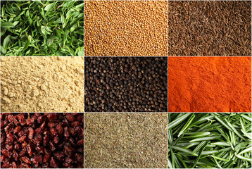 Collage with photos of different spices and herbs, top view