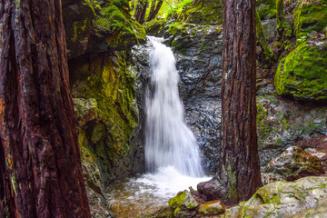 Mill Valley, California Waterfall