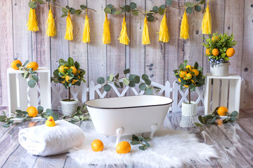 backdrop  lemon party