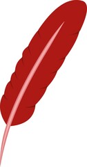 Vector illustration of a red colored bird feather