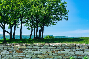 natural landscape, trees against the sky behind a stone fence