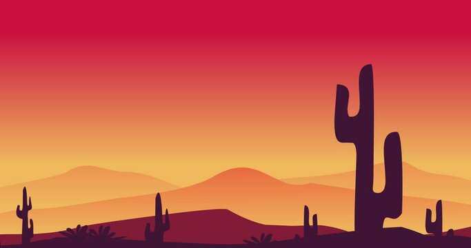 cactus desert expanse animation video