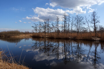 Ankeveense Plassen - Nature reserve in the Netherlands