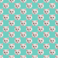 The muzzle of a white fluffy cat peeking out of a hole in green background. 