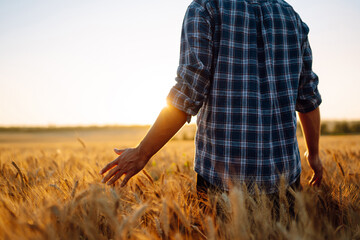 Amazing view with Man With His Back To The Viewer In A Field Of Wheat Touched By The Hand Of...