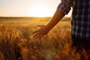 Amazing view with Man With His Back To The Viewer In A Field Of Wheat Touched By The Hand Of...