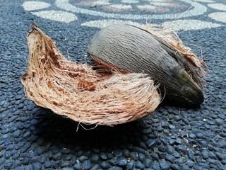 Brown coconut shell,placed on stone floor