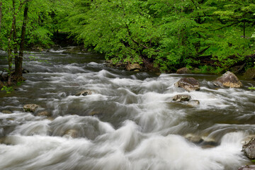 Fototapeta premium Cascades in the Middle prong of the Little Pigeon River in Great Smoky Mountains, TN, USA in early springtime