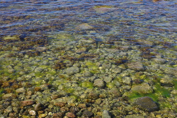 the bottom of the Baltic Sea