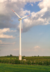 widok na pola i turbinę wiatrową