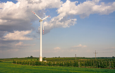 widok na pola i turbinę wiatrową