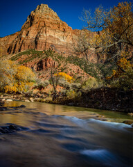 zion in motion