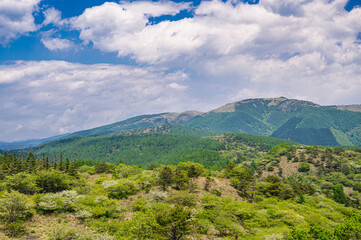 Fototapeta na wymiar 新緑の高ボッチから見る八ヶ岳連峰