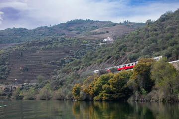 Naklejka premium Scenic train ride through portgual wine country Douro Valley