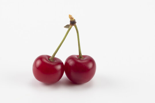 Two sour cherries isolated on a white background. Close up.