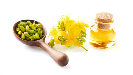 St john's wort plant with oil on white background