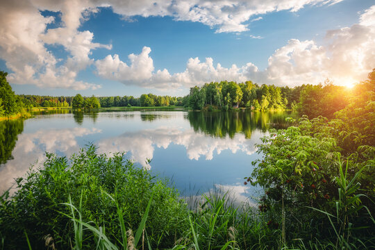 Great view of the quiet lake and green forest on a sunny day. Ukraine, Europe.