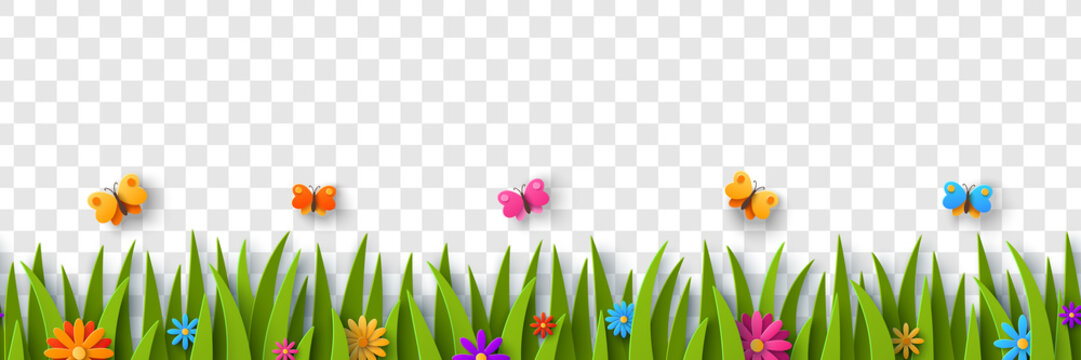 Beautiful daisy field isolated on transparent background. Vector illustration. Paper cut style spring flowers pattern and grass seamless border header. Place for text. Colorful flying butterfly